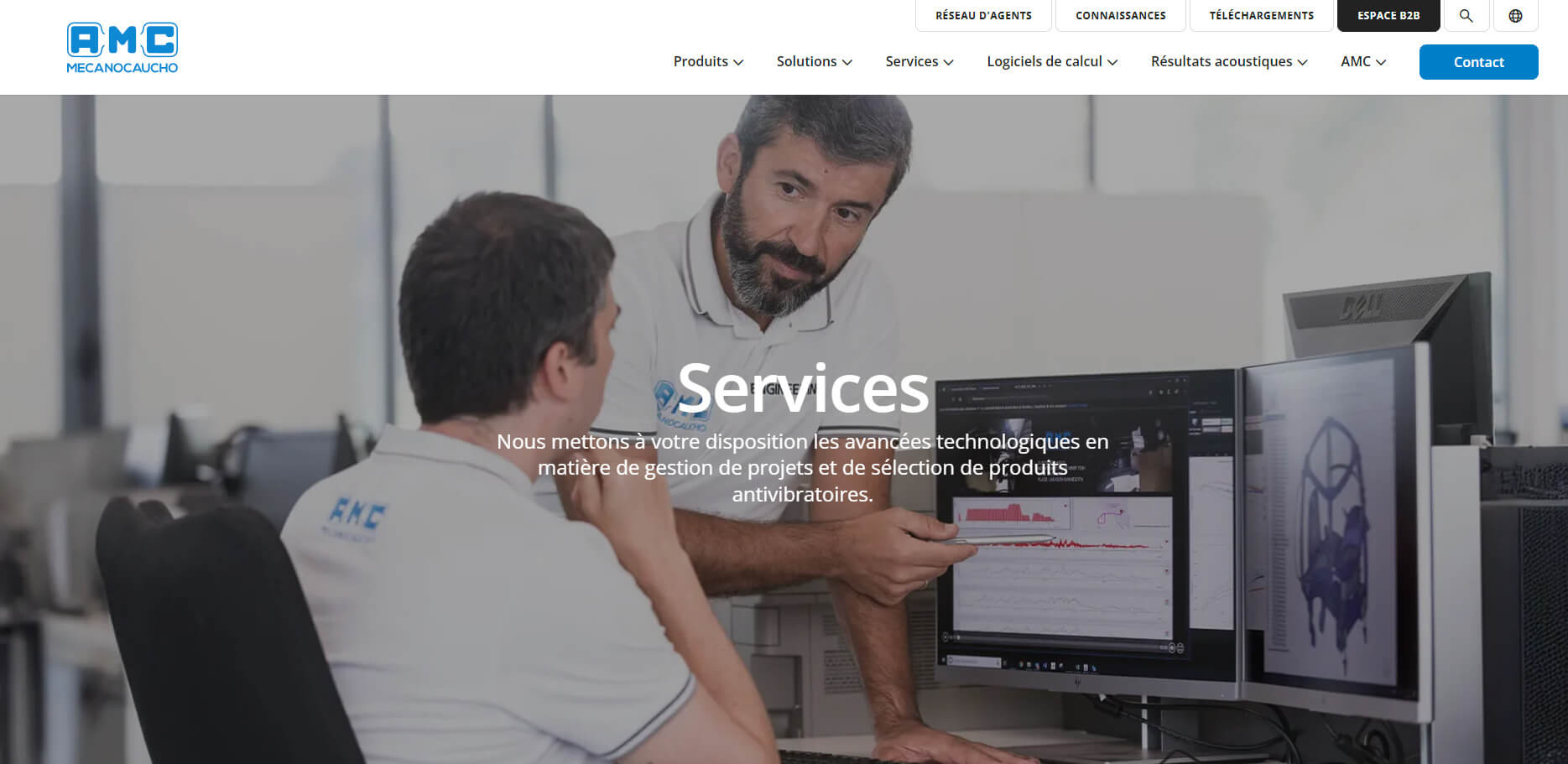 Servicios técnicos, software y hardware de AMC MECANOCAUCHO